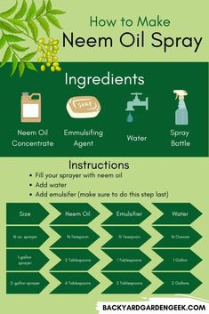 how to make neem oil spray ingredients info graphic on the back of a bottle