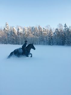 a man riding on the back of a black horse through snow covered ground next to trees