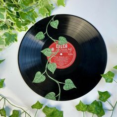 an old record with leaves on it sitting next to some green plants and ivys