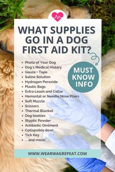 What Supplies Go in a Dog First Aid Kit? Get my List of Dog Mom Must Haves Dog Cpr Printable, First Aid Kit For Dogs, Dog First Aid Kit, Pet Emergency Kit, Dog First Aid, Mom Must Haves, Dog Accesories, Dog Booties, Medication For Dogs