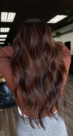 Dark Chocolate Brown Hair With Copper Highlights, Dark Balayage Red Tones, Copper Hair Winter, Autumnal Hair Brunette, Hair Colors For Brunettes Winter, Brown Hair Color Ideas For Summer, Hair Colors For Autumn Palette, Burgundy Lowlights In Light Brown Hair, Winter Brunette Hair Color Pale Skin