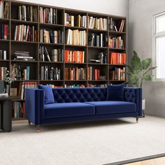 a blue couch in front of a bookshelf filled with lots of bookcases