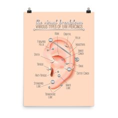 A comprehensive and well researched ear piercing infographic chart. The perfect gift for piercing enthusiasts or professionals, alike. Updated with difference in naming convention for piercings "Orbital" and "Outer Conch". Original listed here: https://shattertheelegance.etsy.com/listing/777146013 Museum-quality posters made on thick matte paper. Add a wonderful accent to your room and office with these posters that are sure to brighten any environment. * Paper thickness: 10.3 mil * Paper weight: 189 g/m² * Opacity: 94% * ISO brightness: 104% Ear Piercing Chart, Outer Conch, Ear Peircings, Ear Piercings Chart, Piercing Chart, Types Of Ear Piercings, Chart Infographic, Anti Tragus, Ear Piercing