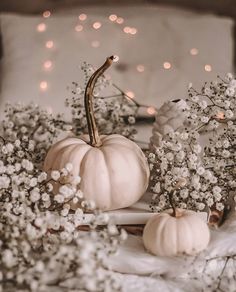 white pumpkins and baby's breath flowers on a bed with lights in the background