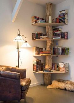 an image of a room with bookshelves on the wall and a lamp next to it