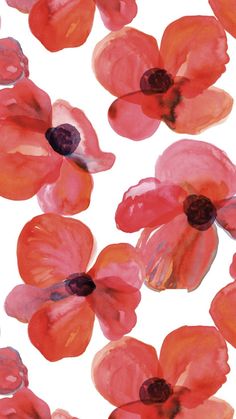 an image of red flowers on white background