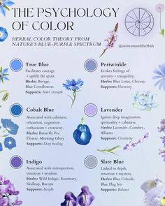 Aesthetic Blue Flowers, Color Psychology Personality, Spiritual Psychology