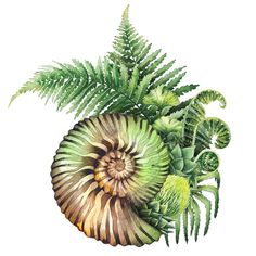 an image of a green plant with leaves on it's side and a spiral shaped object in the middle