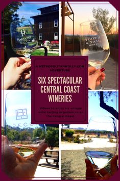 there is a collage of wine glasses with the words six spectacular central coast wines