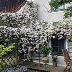 a house with flowers growing on the side of it and a wooden chair in front