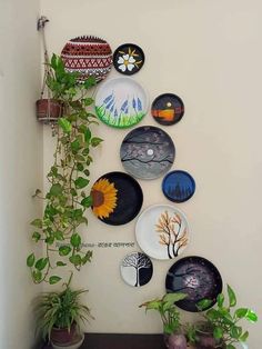 several plates are hanging on the wall above a potted plant