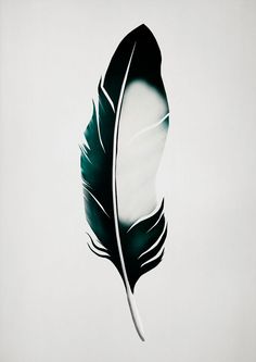 a black and white feather on a gray background