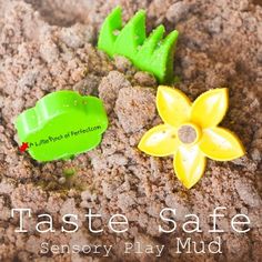 two plastic flowers sitting on top of a rock with the words taste safe sensory play mud