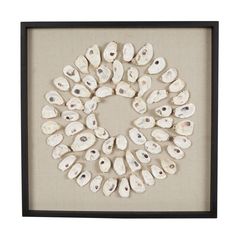 an image of seashells arranged in a circle on a white background with black frame