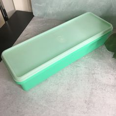 a green plastic tray sitting on top of a counter next to a leafy plant