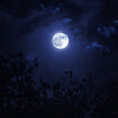 the full moon shines brightly in the night sky above trees and clouds, with dark blue hues