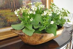 a potted plant sitting on top of a wooden table