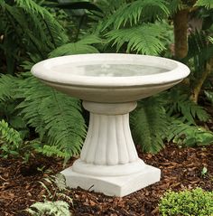 a white bird bath sitting in the middle of a garden with ferns growing around it