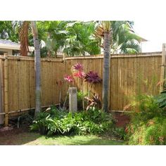 a bamboo fence surrounded by tropical plants and trees