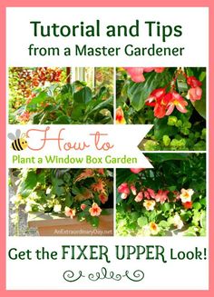 flowers and plants with text overlay that reads, how to plant a window box garden get the fix upper look