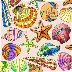 an image of seashells and starfish on pink background