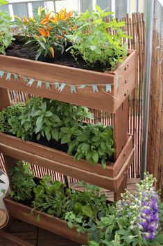 a wooden planter filled with lots of plants