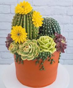 there is a cake decorated with succulents and flowers