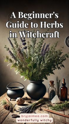 New to witchcraft? This beginner's guide to herbs in witchcraft explores their magical properties and how to incorporate them into your practice. Learn how everyday herbs like rosemary, basil, and lavender can be used in spells and rituals for protection, love, healing, and more. Whether you’re just starting or looking to enhance your practice, this guide offers practical tips for working with herbs and creating your own herbal magic. Most Common Herbs Used In Witchcraft, Herbs For Banishing Spells, Herbs For Beginner Witches, Herbal Magic Witchcraft, Herbs In Witchcraft, Magical Properties Of Herbs, Herbal Spells, Herbs For Witchcraft