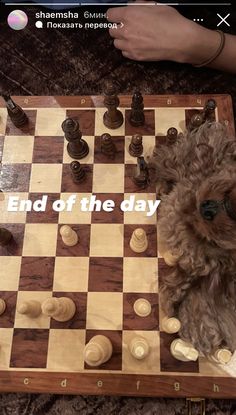 a dog sitting on top of a chess board with the words end of the day