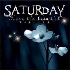 the cover of saturday hope it's beautiful, with white flowers and sparkles