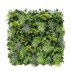 a green plant wall with leaves and flowers on the top, isolated against a white background