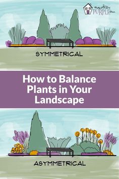 how to balance plants in your landscape