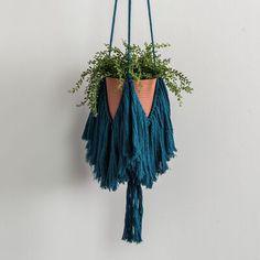 a hanging planter with plants in it on a white wall next to a potted plant