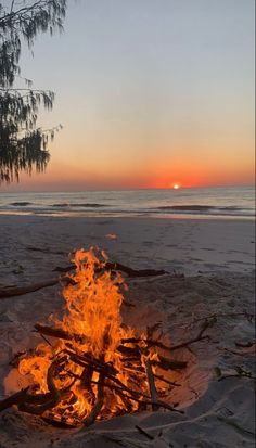 a campfire on the beach with sunset in the background and some branches sticking out