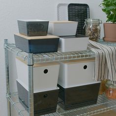 several containers are stacked on top of each other in a shelf next to a potted plant