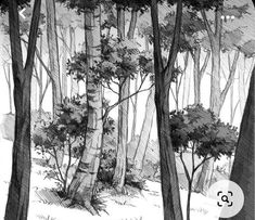 a black and white drawing of trees in the woods