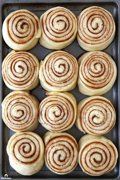 freshly made cinnamon rolls on a baking sheet ready to be baked in the oven for breakfast