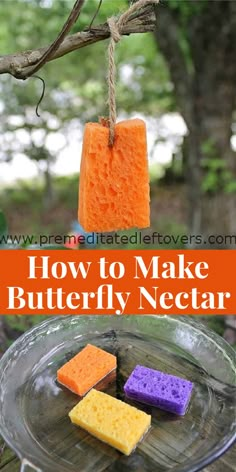 how to make butterfly nectar soap on a tree branch