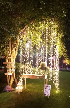 a bench under a tree covered in lights