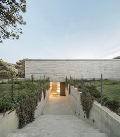 an entrance to a concrete building with plants growing on the sides