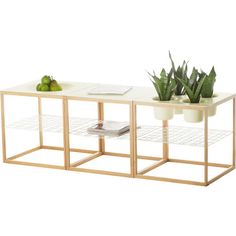 two planters are sitting on top of a white table with metal shelves and wire