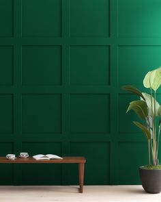 a potted plant sitting on top of a wooden table next to a green wall