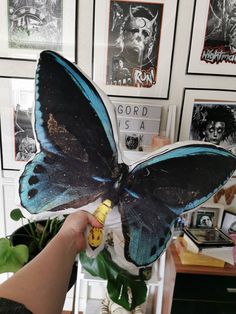 a person holding a blue butterfly in front of a wall full of pictures and posters