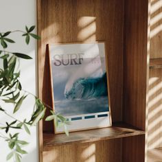 a surf magazine on a wooden shelf next to a potted plant and bookshelf