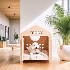 Elevate your pet's space with Circla by Wooffy – a stunning modular dog house designed with style, comfort, and customization in mind. Crafted from premium materials like plywood and white ash wood, it features customizable canopies, mats, and even personalized name options. Perfect for modern pet lovers who value design and functionality. Pre-order now on Kickstarter! Luxury Dog House, Value Design, White Ash Wood, Modern Dog Houses, Indoor Dog Kennel, Wooden Dog Crate, Pet Spaces, Modern Pet