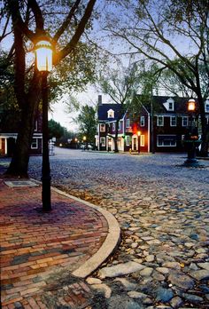 a cobblestone street with trees and buildings in the background