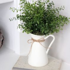 a potted plant sitting on top of a book next to a window sill