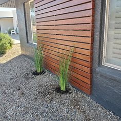 Wood exterior panel Wooden Accent Exterior, House Planters Outdoor, Cedar Planks On Exterior, Wood Exterior House Colors, Windowless Exterior Wall Ideas, Exterior House Stain Color Combinations, White Black And Natural Wood House Exterior, Front House Wood Accents, Wood Siding Accent Exterior