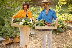 a man and woman carrying boxes full of vegetables in the garden with straw hats on