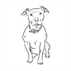 a black and white drawing of a pitbull sitting down with his head turned to the side